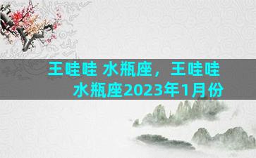 王哇哇 水瓶座，王哇哇水瓶座2023年1月份